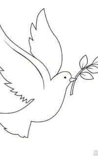 عروس هلندی پیدا شده