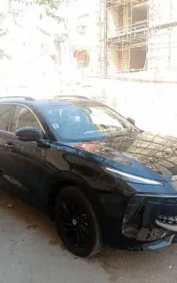 فروش لاماری ایما