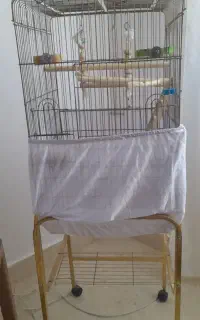 قفس پایه دار پرنده