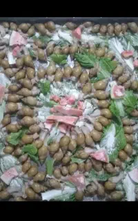 کار در منزل شغل خانگی پرورش حلزون