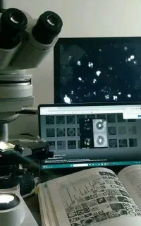 انجام کلیه امور علمی