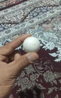 سنگ الماس اسیابی