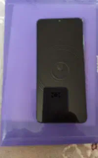 پیدا شده