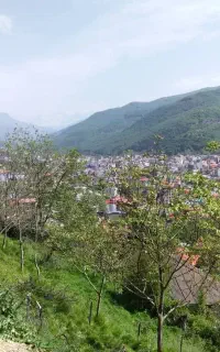 فروش ملک