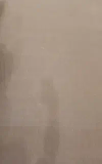 موکت تمیز و سالم