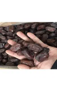 خرمای درجه یک کلوته