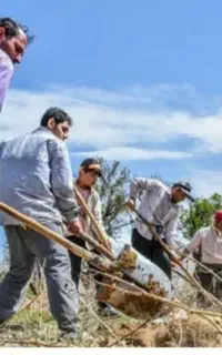 کارگر باغبانی بیل زنی باغ با غچه علف زنی حر س کار