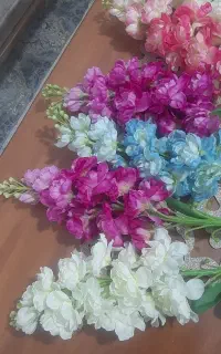 ۸شاخه گل
