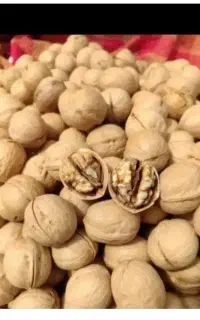 گردو خارجی درجه1 کاغذی