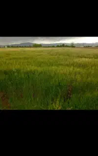 فروش ۵۰ لیتر در ثانیه آب کشاورزی