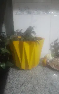 شرکت خدماتی سلاله نیروی برای نظافت ونیروی جابه‌جا