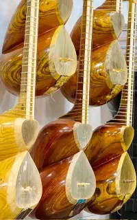 انوا‌ع ‌تا‌ر سنتی ایرانی در گالری سازوتار