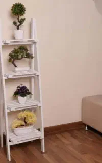 شلف ایستاده