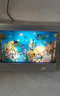 شب خواب آکواریوم متحرک