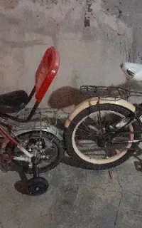 دوچرخه ۱۲و۱۶  فقط ترمز میخوان