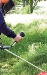 هرس کردن