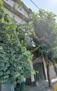 اجاره خونه در ازدارتپه