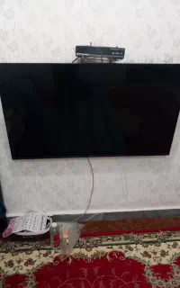 تلوزیون