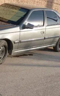 پارس خاکستری 85