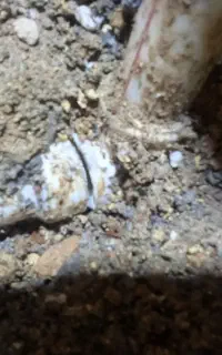 لوله کشی ولوله‌بازکنی ،نشت‌یابی با دستگاه اصفهان