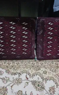 پشتی