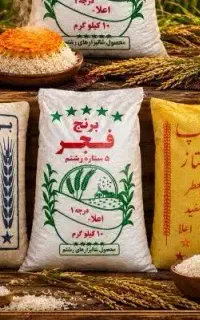 برنج عنبربو،چمپا،فجر،کامفیروز،لنجان
