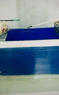 اکواریوم با کلیه وسایل سالم