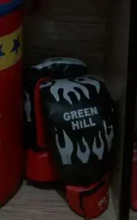 دستکش و هوگو رزمی