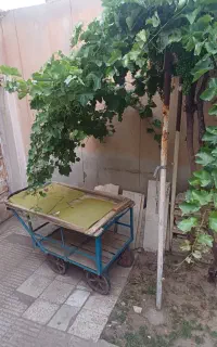 چرخ دستی