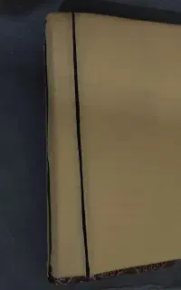 پشتی
