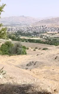 کاه