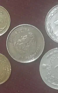 سکه