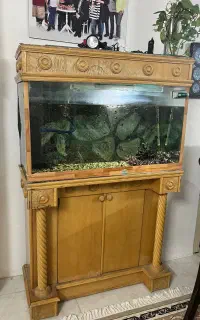 اکواریوم