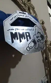 دستکش رزمی،اِم اِم ای،رزمی ترکیبی،گراپلینگ