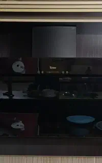 هود لمسی مورب در حد
