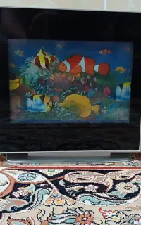 آکواریوم شب خواب و تزئینی