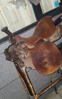 زین اسب بدون پارکاب