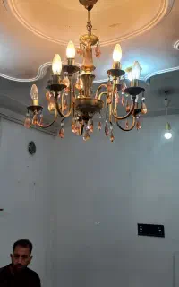 لوسترطلایی