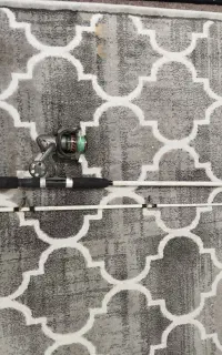 لنسر.چرخ. پوتین