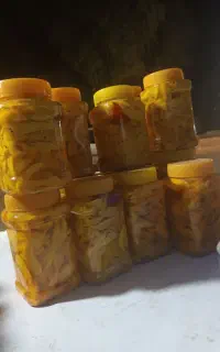 فروش انبه