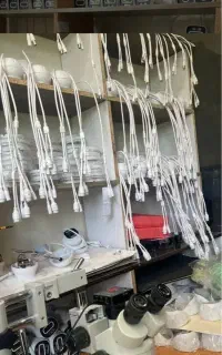 چکی تا شهریور ۱۴۰۵-کارخانه دوربین مداربسته