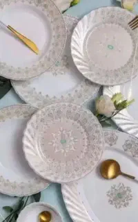 ظروف پذیرایی