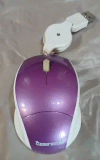 ماوس  و وب کم کامپیوتر