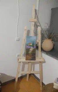 بوم رنگ کاملا نو