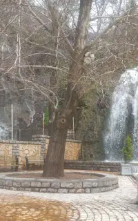 تور بکروزه