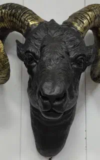 دیوارکوب