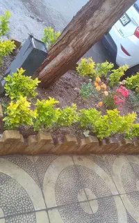 خدمات باغبانی گلفروشی کشاورز