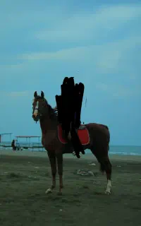 آموزش سوار کاری از مبتدی تا حرفه ای