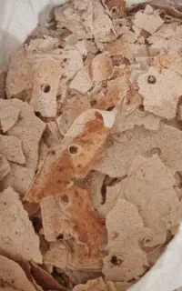 نان خشک