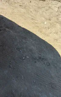 فروش باران کشاورزی